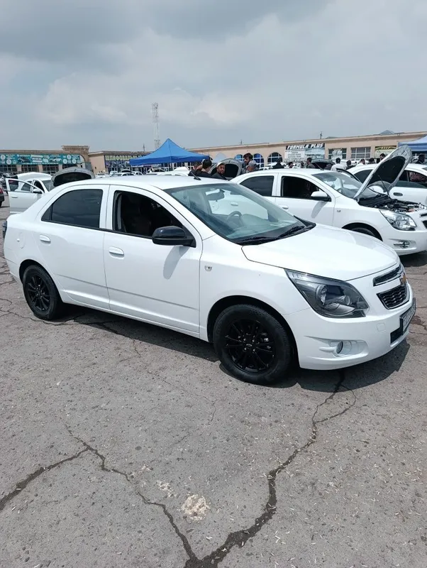 Cobalt midnight srochna sotiladi
