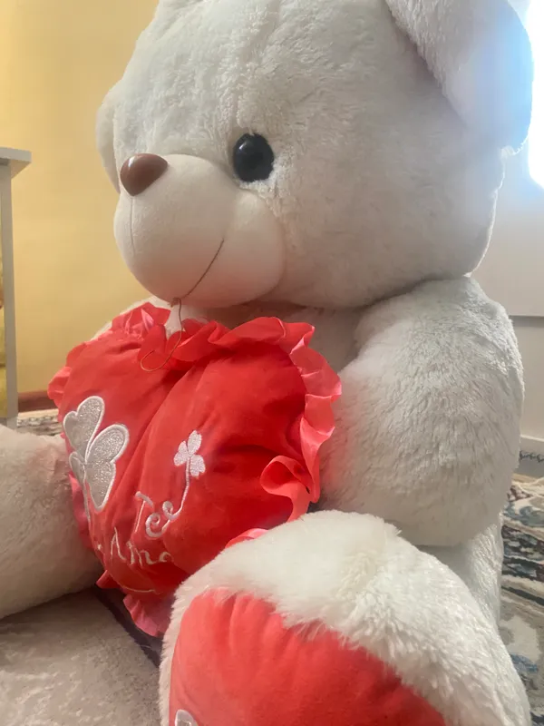 Teddy 2 Teddy 2