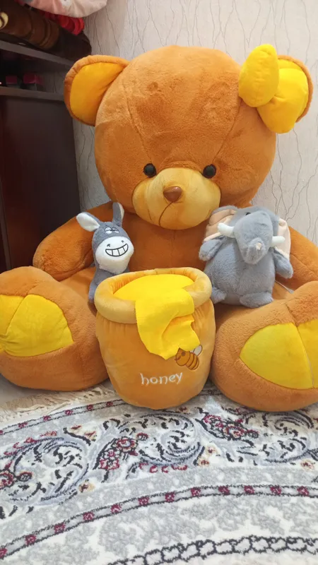 Katta ayiq chiroyli hali yangi