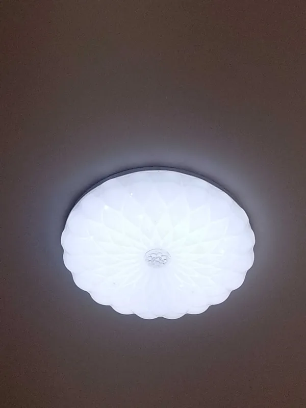 Plafon arzon narxda 2 Plafon arzon narxda 2