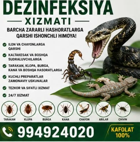 Dezinfeksiya ilon chayon kaltakesak