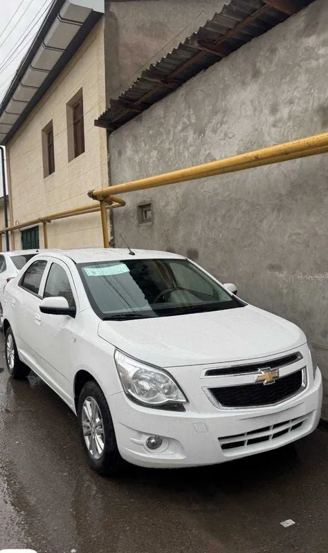 cobalt vikub boir 2 cobalt vikub boir 2
