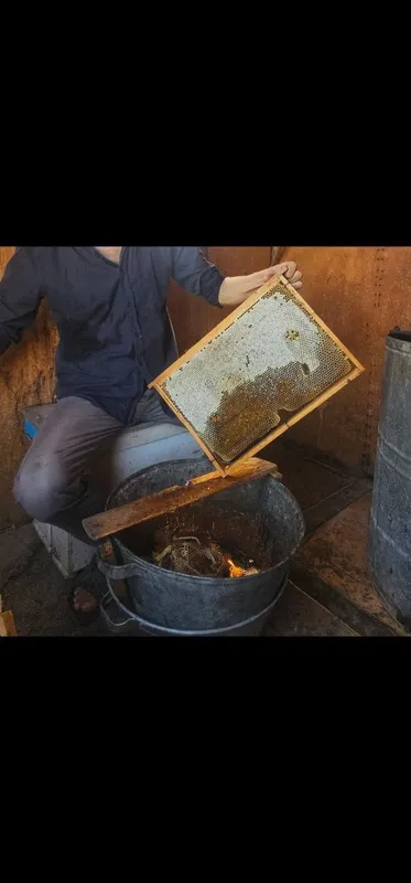 Toza tabiy asal tog' Paxta — фото 6