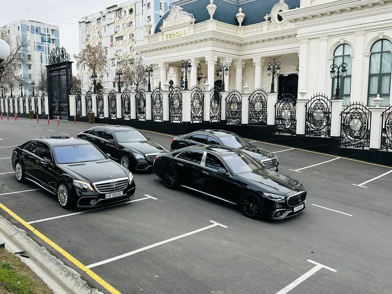 Туй ва бошка маросимлар учун кортедж химатлари учун 5 Туй ва бошка маросимлар учун кортедж химатлари учун 5