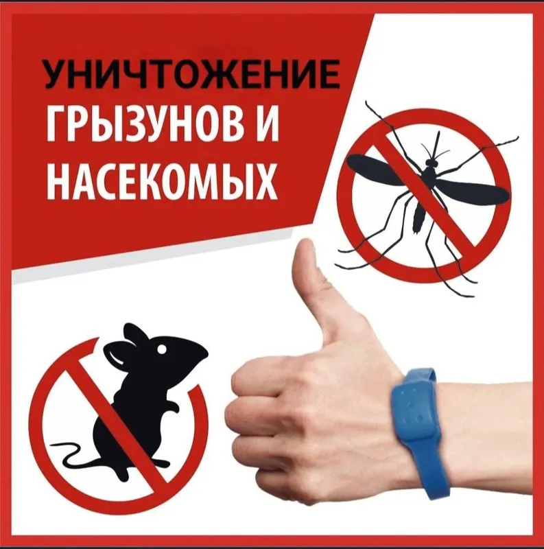 Служба дезинфекции от всех видов насекомых и грызунов. 1 Служба дезинфекции от всех видов насекомых и грызунов. 1