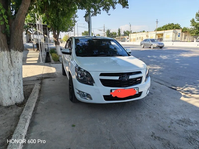 10000 y.e. kami bor Cobalt 2