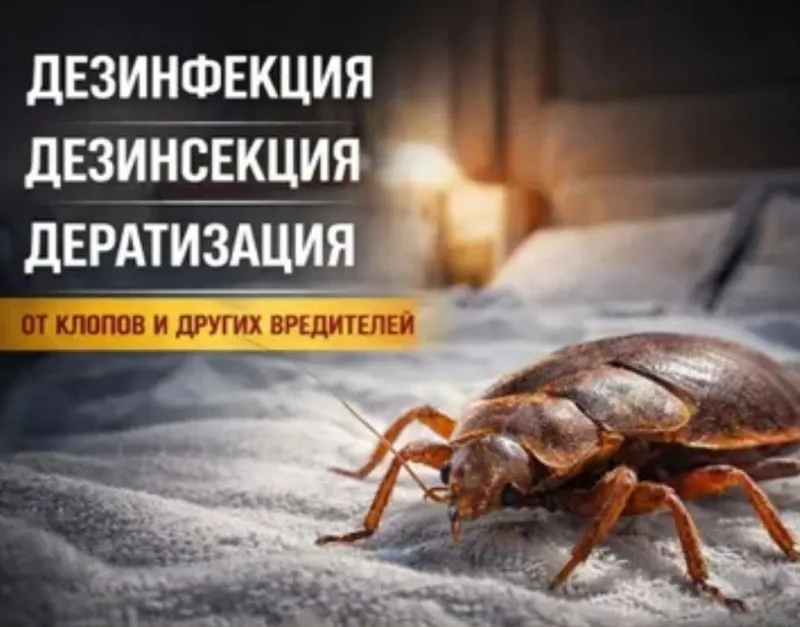 Дезинфекция-Тараканов и Клопов