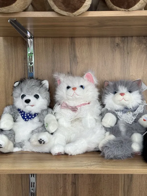 Котики для автомобиля 4