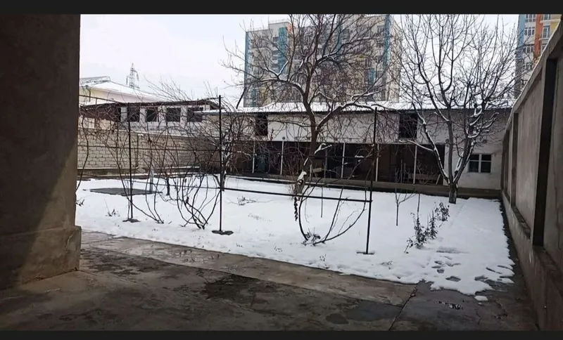 Hovli uy srochno sotiladi 6