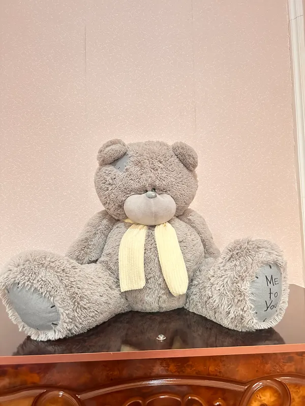 Myaxkiyi igrushki