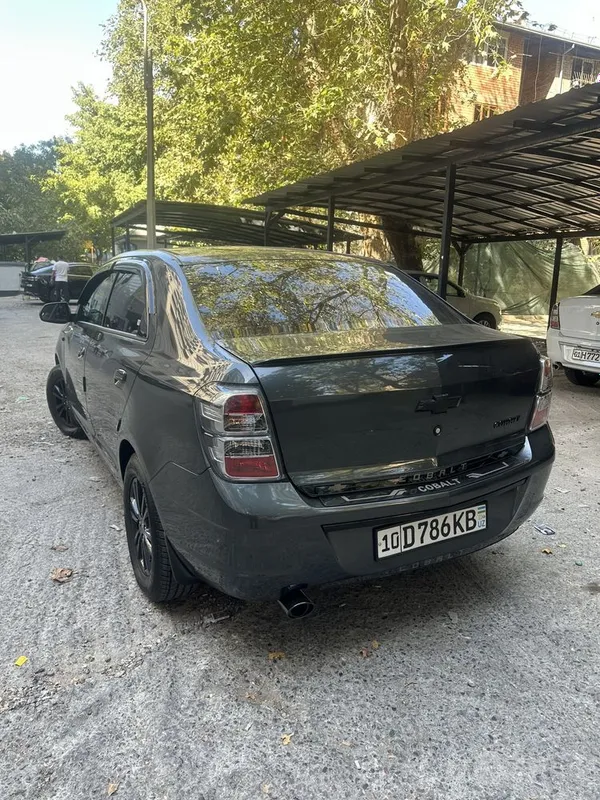 Cobalt 2025 shoshilinch 3 Cobalt 2025 shoshilinch 3