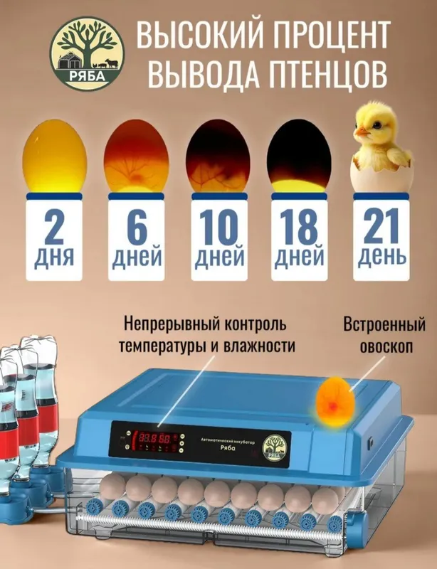 Инкубатор  Автомат Заводской 3