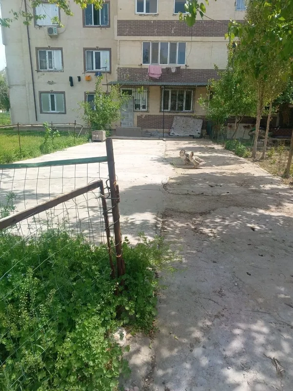 Uzim yashagan kvartera sharoitlari zoʻr pul zarur — фото 5