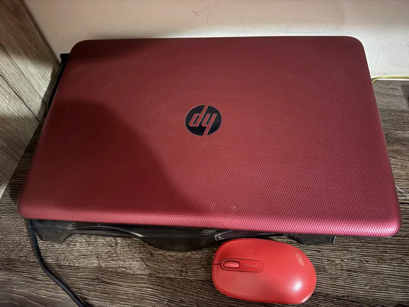 HP kompyuter. Sumka va sichqoncha sovgʻaga