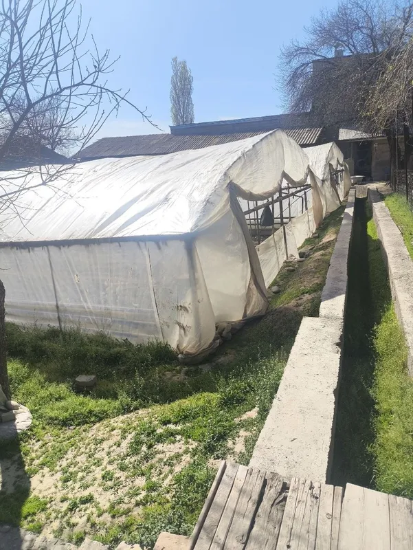 Hasanboy da 10 so'tik hovli sotiladi