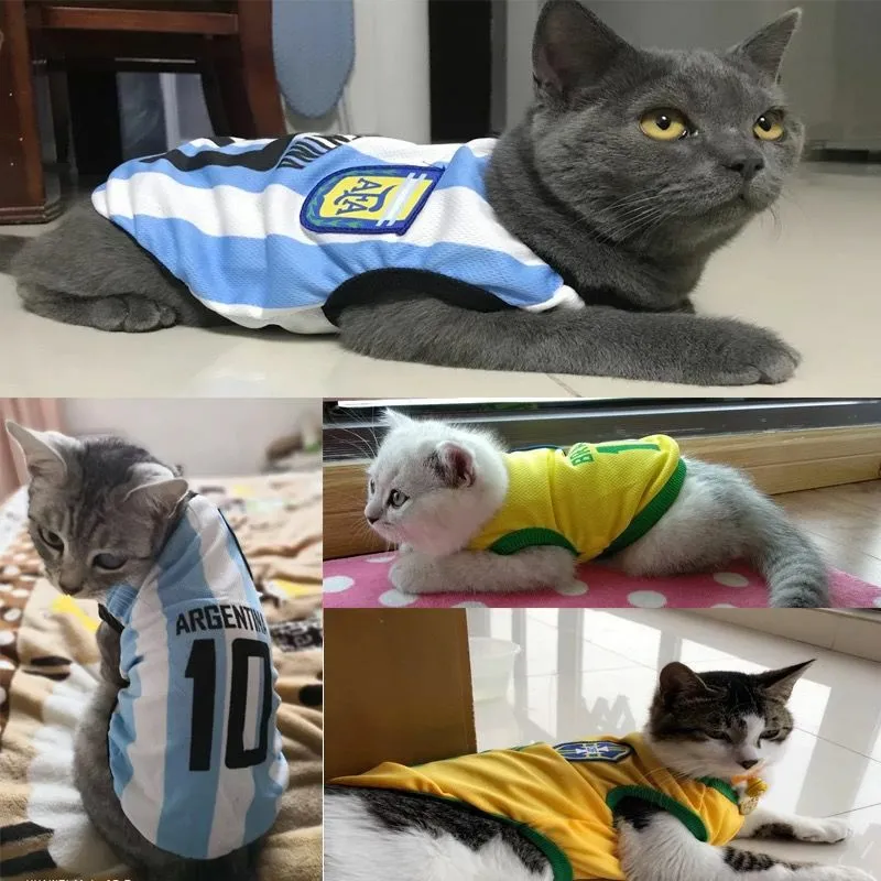 Одежда для кошек