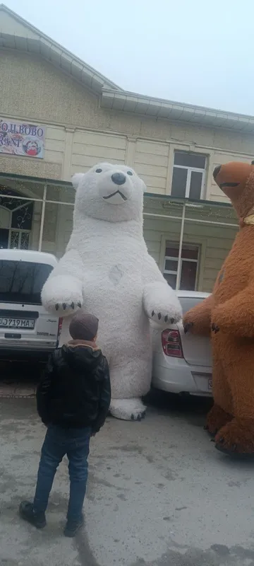 Ayiqlar Katta va kichik ayiqlar tuy va marosimlarda xizmatingizda 3 Ayiqlar Katta va kichik ayiqlar tuy va marosimlarda xizmatingizda 3