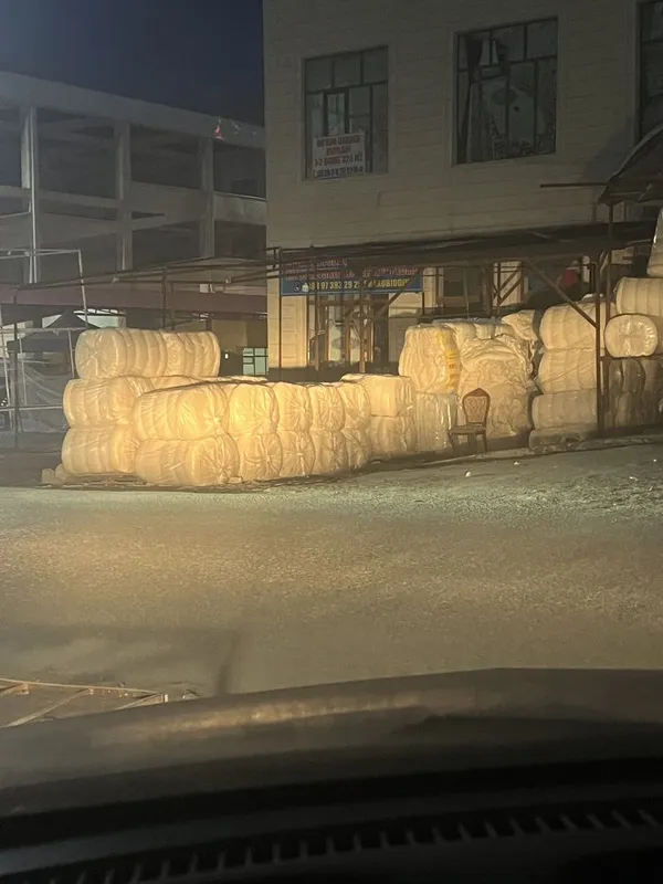 Optom paxta xar xili bor yetkazib berish xizmati mavjud sifat alo — фото 3
