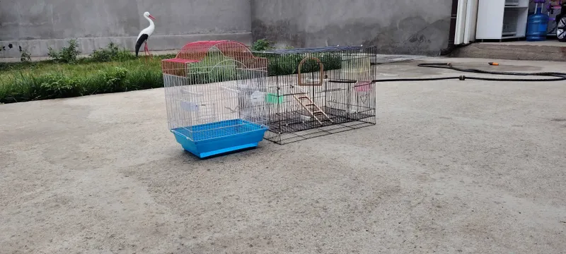 Qafaslar sotiladi 4 Qafaslar sotiladi 4