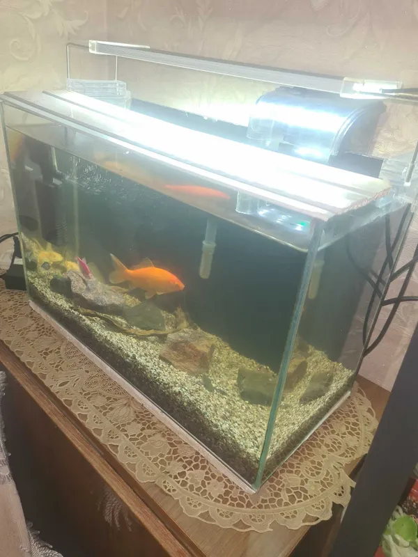 Продаю аквариум с рыбками