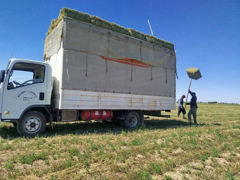 Isuzu 5t sotiladi, Исузи 5т сотилади срочно! — фото 3