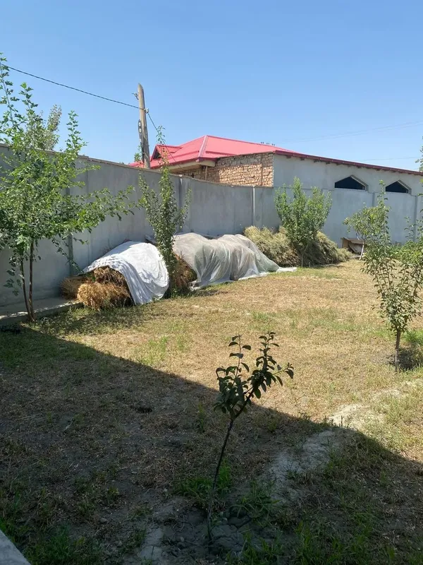 Beda ot bor pres emas Beda ot bor pres emas