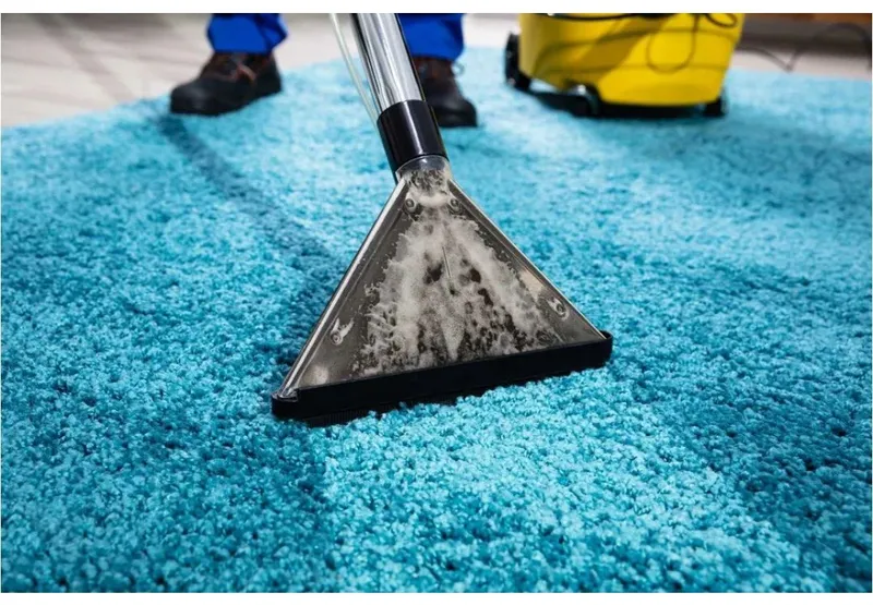 Navoiy eco cleaning gilam yuvish korxonasi — фото 1