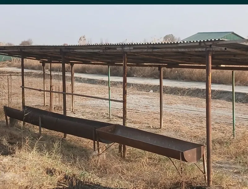 2.4gektar maydonga ega g'ish ishlab chiqarish zavodi sotiladi — фото 6