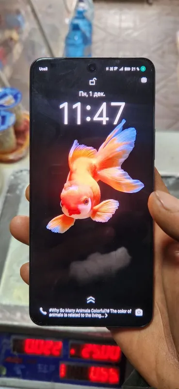 vivo 60 Layit — фото 1