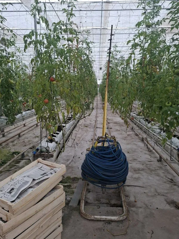 Срочно Продается Земля Кушкунда 16 Гектаров — фото 4