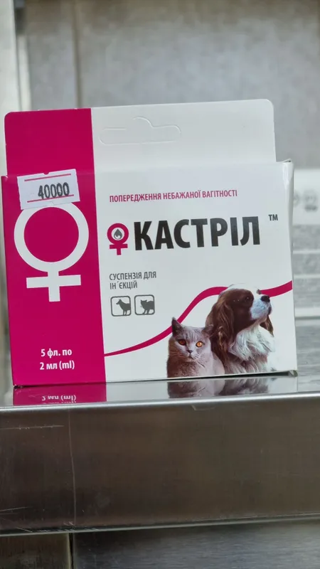 Kastril it va mushuklar uchun
