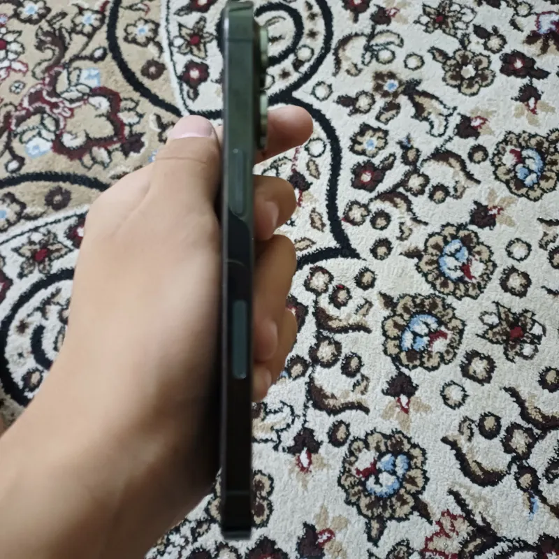 13 pro 3