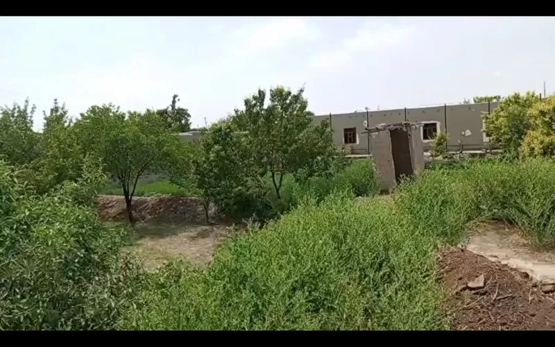ШОШИЛИНЧ! Шофирконда 12.35 сотиқ ҳовли уй ярим нархига сотилади $8000 3 ШОШИЛИНЧ! Шофирконда 12.35 сотиқ ҳовли уй ярим нархига сотилади $8000 3