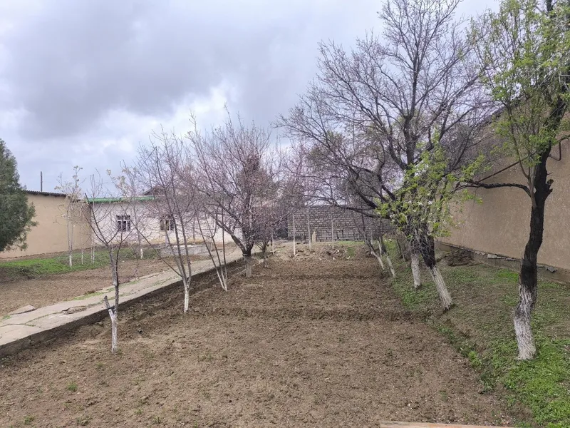ҳовли уй сотилади — фото 1