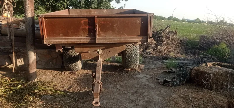 Tlichka uzum boğ uchun