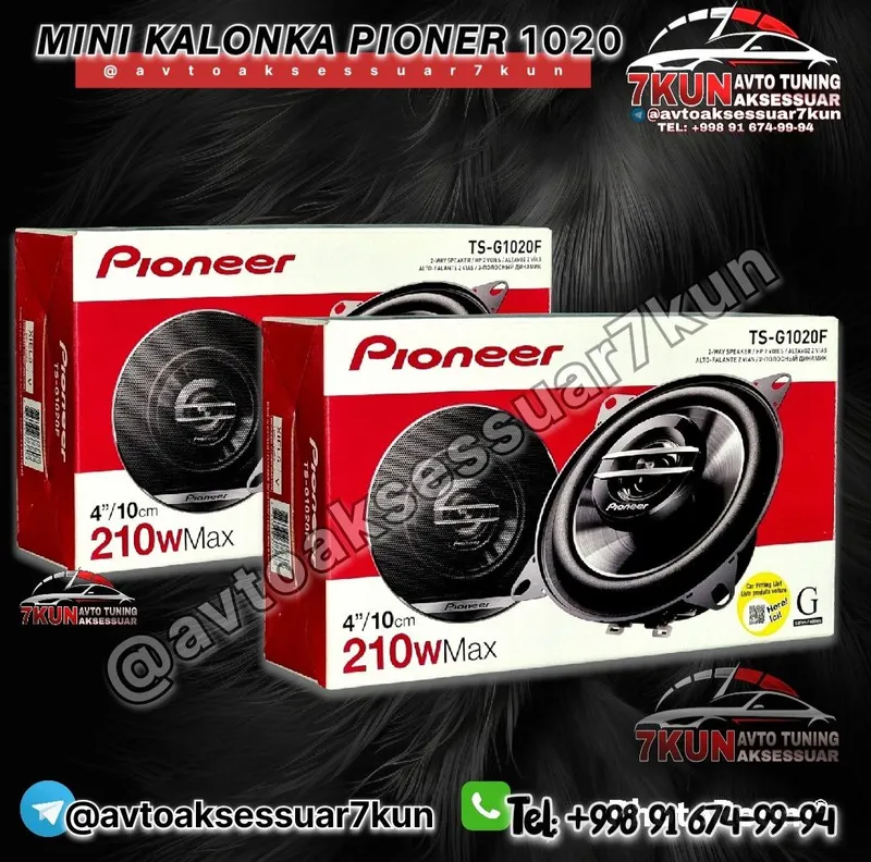 PIONEER TS-G1020 — фото 1
