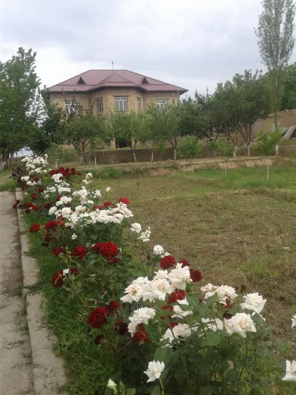 Йер сотилади 14 соток (15000$ дан) сотихи) 1