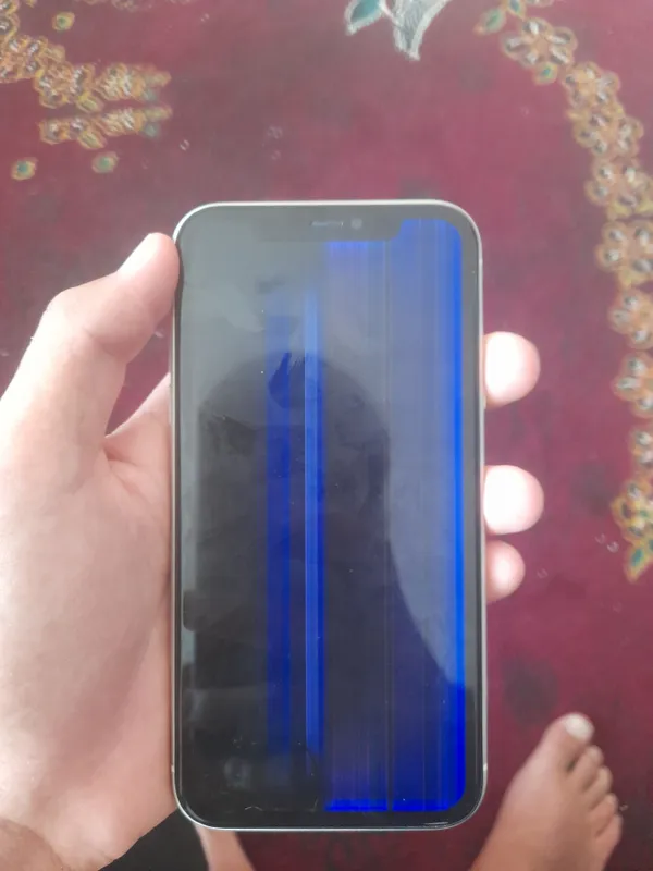 iphone11 3