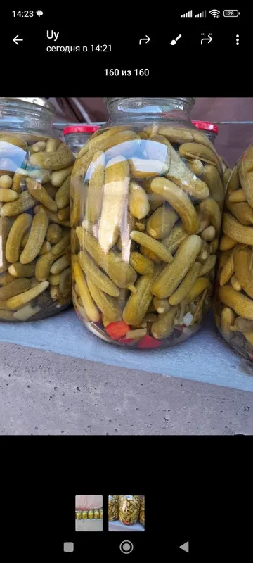 Bodring 40000 uyda tayyorlangan 2 Bodring 40000 uyda tayyorlangan 2
