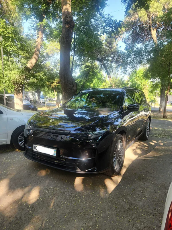 Leapmotor C16 Gibrid 1