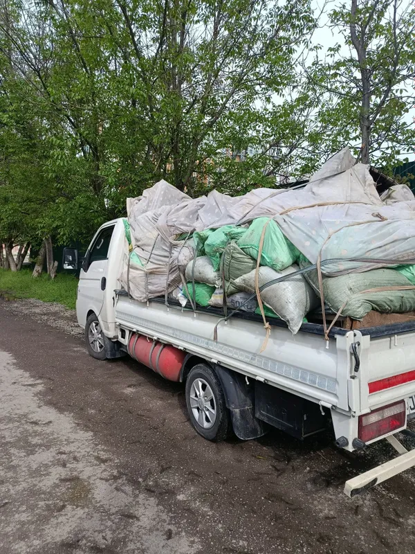 Вівоз мусир stromy musir — фото 2
