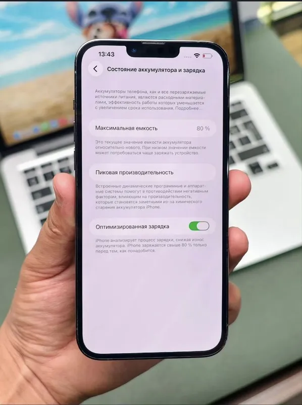 Iphone 13 pro max
