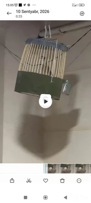 4 ta italya bedana 1 4 ta italya bedana 1