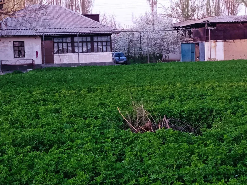 Уй сотилади 23 соток Бустонлиқ тумани Қораманас МФИ ОралТансикбаев79уй