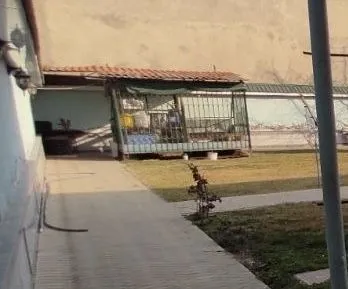 Qoyxona yechiladigan bolt gaykali