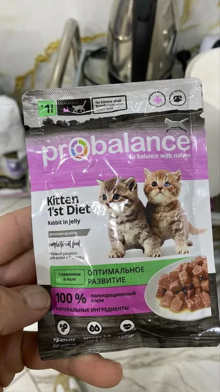 Veterinariya xizmati – It va mushuklar uchun tezkor yordam! 6