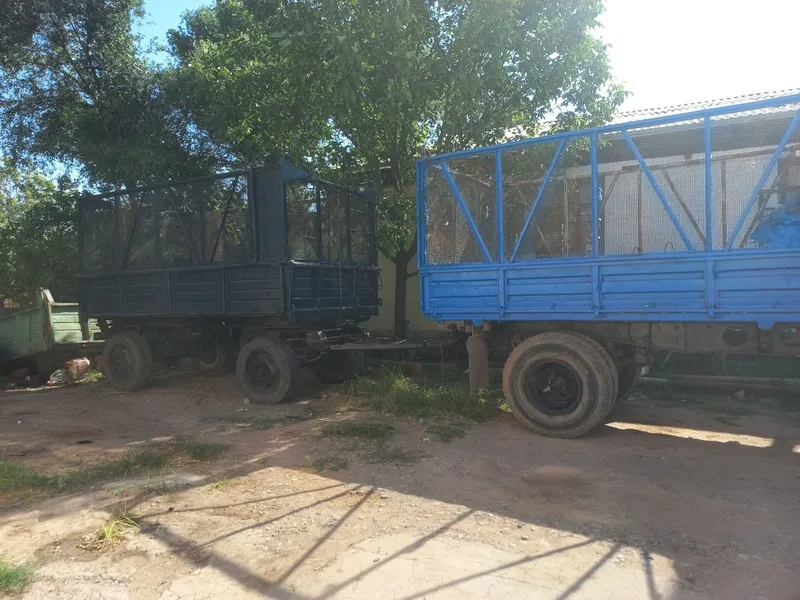 Kalxida tyagach zil 2ta pretsep 100% tayyor 8