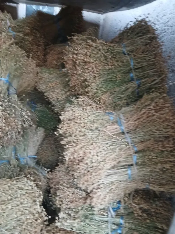 Продаётся исирик — фото 3