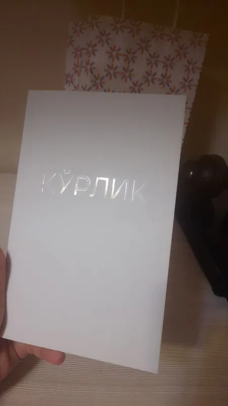 Книга по слепоте