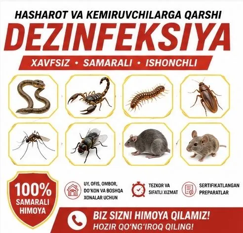 Dezinfeksiya, dezibfeksiya,